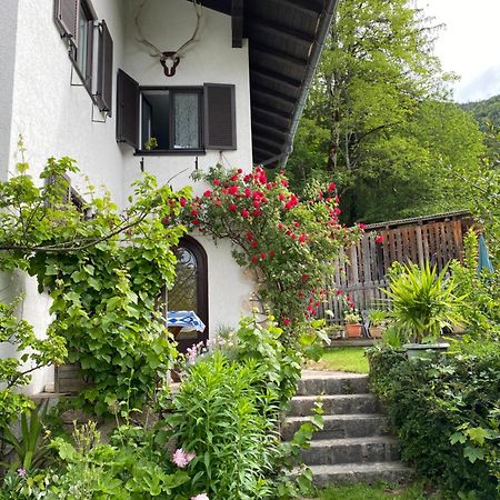Ferienwohnung Laimer, Radau 37 Saint Wolfgang Zewnętrze zdjęcie