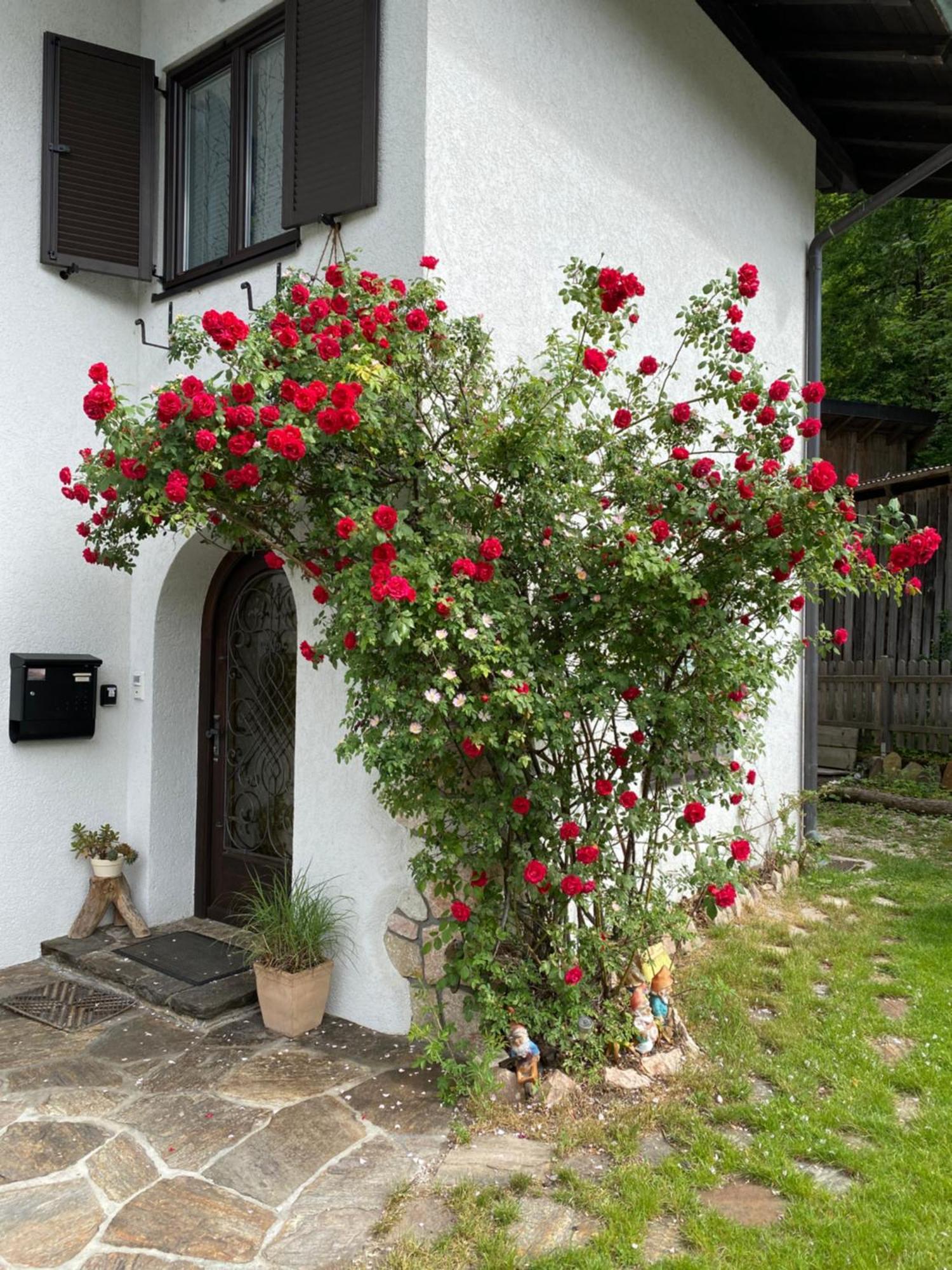 Ferienwohnung Laimer, Radau 37 Saint Wolfgang Zewnętrze zdjęcie